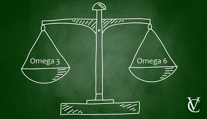 treeninglife-article-1-nutrition-balance-omega-3-lifestyle-musculation-vegetarien-végan